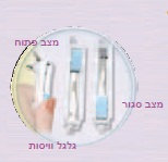 גלגל וויסות